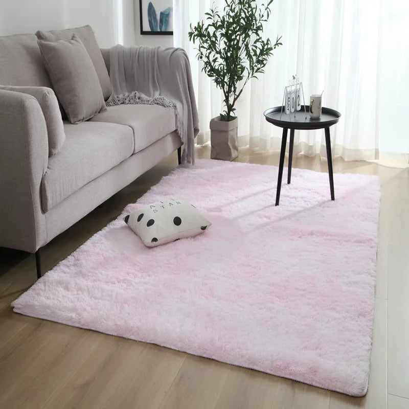 Bedroom Water Absorption Carpet Rugs