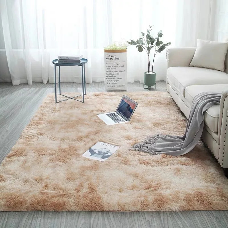 Bedroom Water Absorption Carpet Rugs