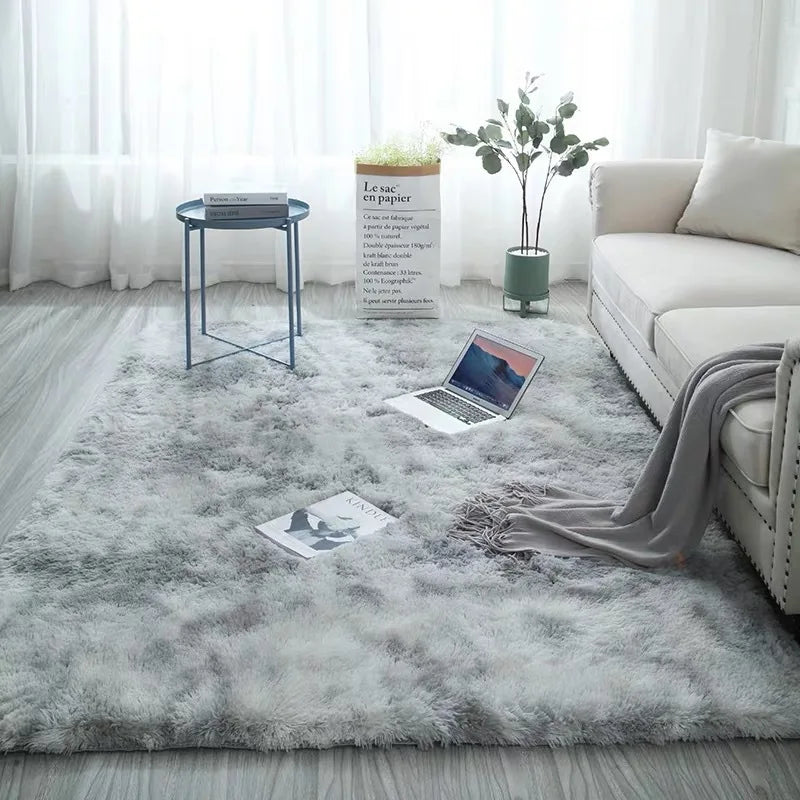 Bedroom Water Absorption Carpet Rugs