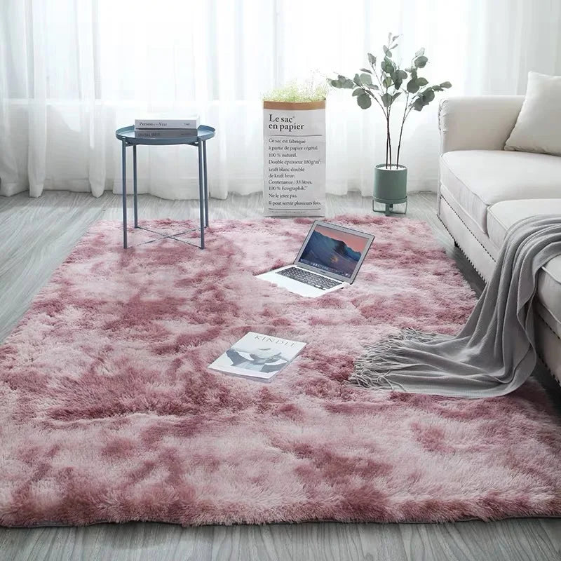 Bedroom Water Absorption Carpet Rugs